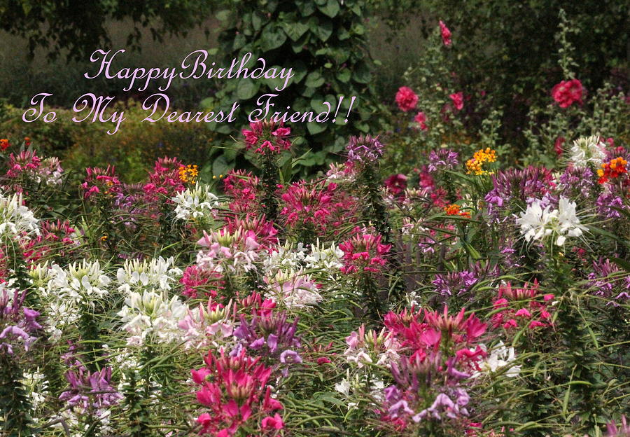 Flower Photograph - Dearest Friend Birthday Greeting by Rosanne Jordan