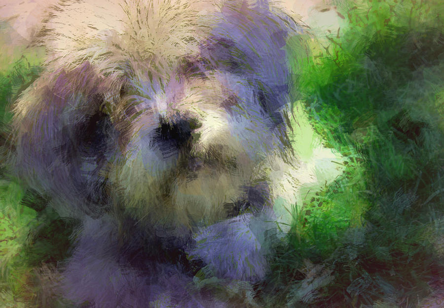 Dog Photograph - Dearly by The Art Of Marilyn Ridoutt-Greene