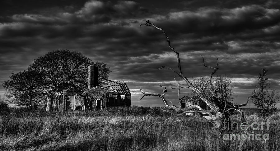 Death and Decay Photograph by Nigel Jones - Fine Art America