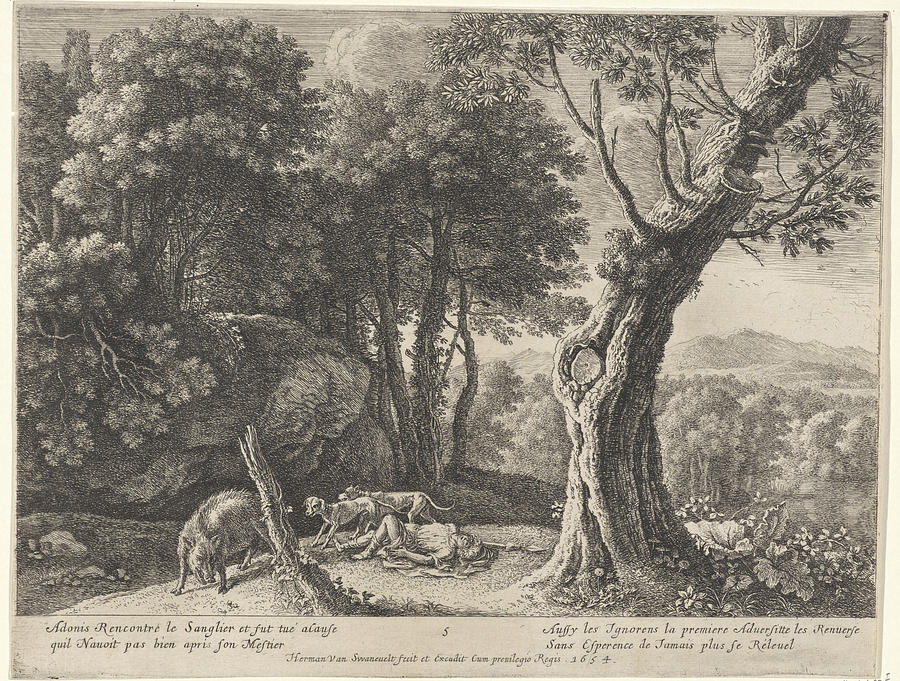 Death Of Adonis, Herman Van Swanevelt Drawing by Quint Lox - Fine Art ...