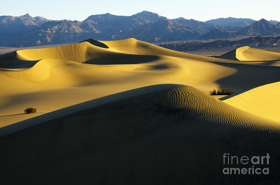 Death Valley California Gold 4 Photograph by Bob Christopher