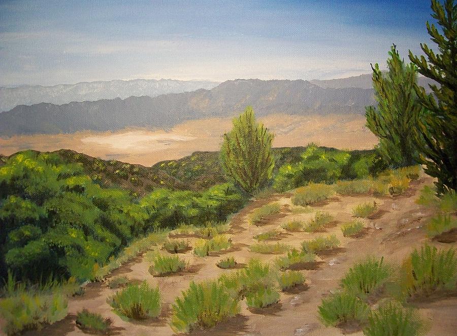 Death Valley Painting by Cristolin O