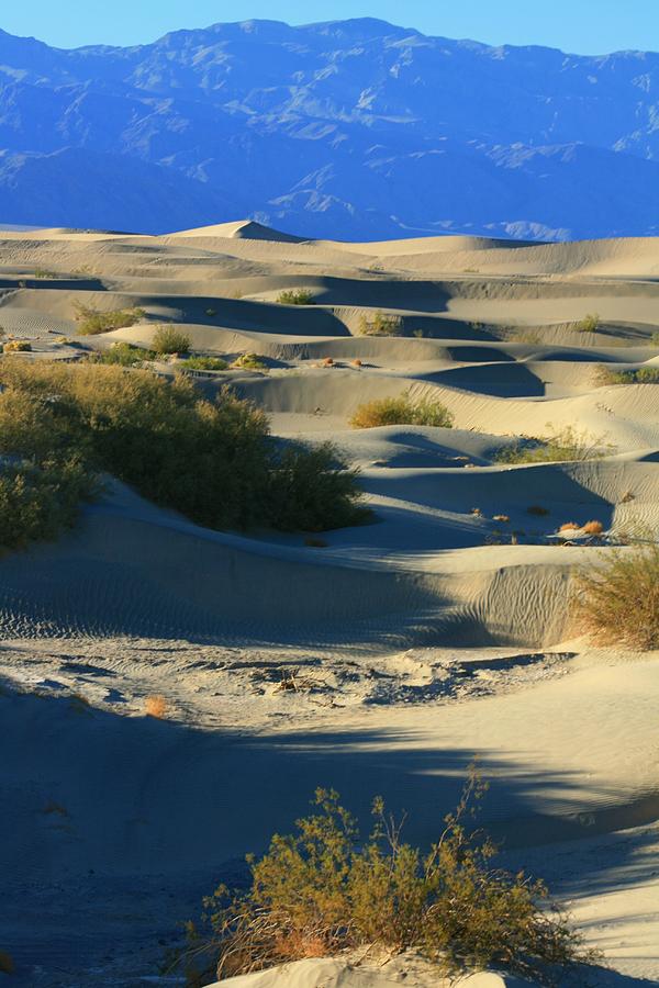 Death Valley Dunes Photograph by Douglas Miller