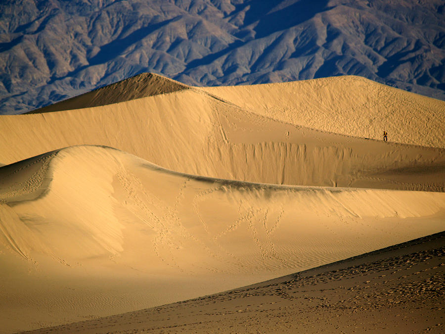 Death Valley NP Stovepipe Wells Dunes 16 Photograph by JustJeffAz Photography