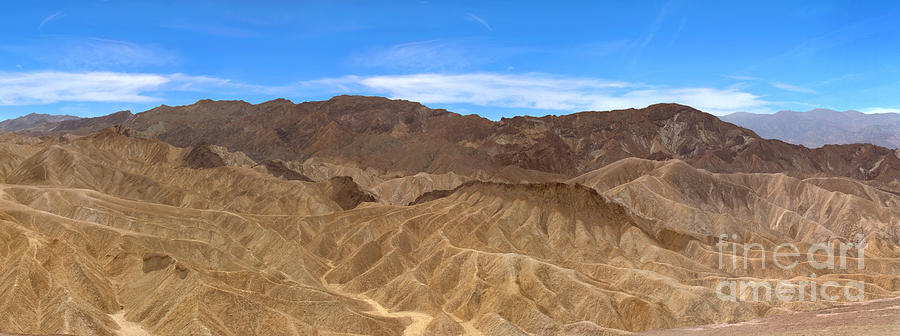 Desert Hot and Dry  Photograph by David Zanzinger