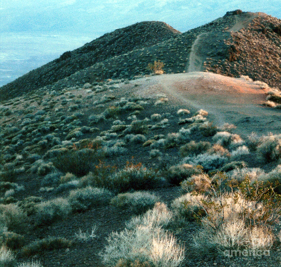 Death Valley Photograph by Patricia Januszkiewicz