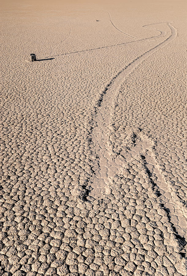 Desert Photograph - Death Valley Racetrack California by Steve Gadomski