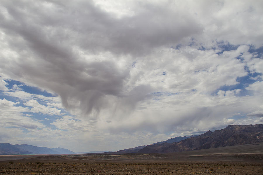 Death Valley Rain Photograph by Cathy Franklin