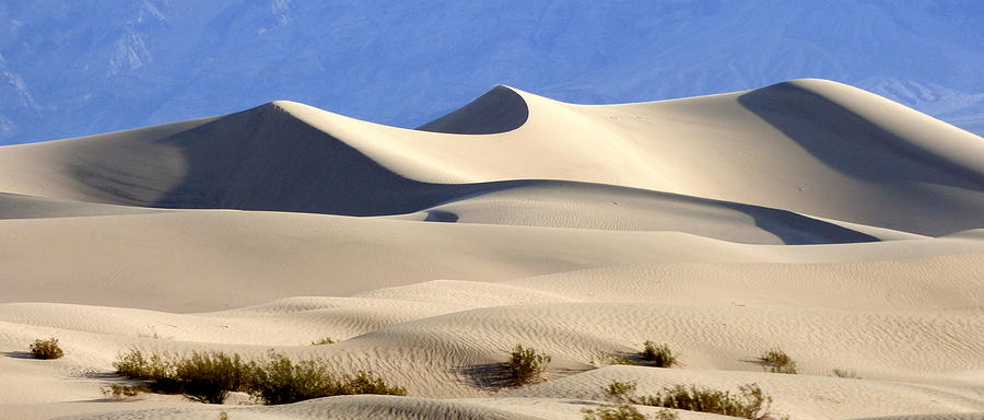 Death Valley Sand Dunes Photograph by Amelia Racca