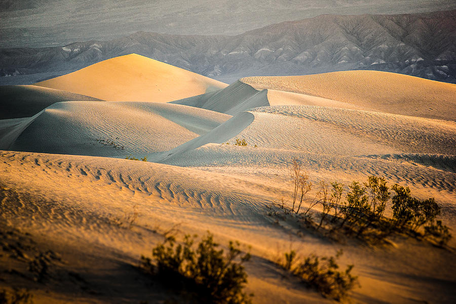 Death Valley Sand Dunes Photograph by Francesco Riccardo Iacomino