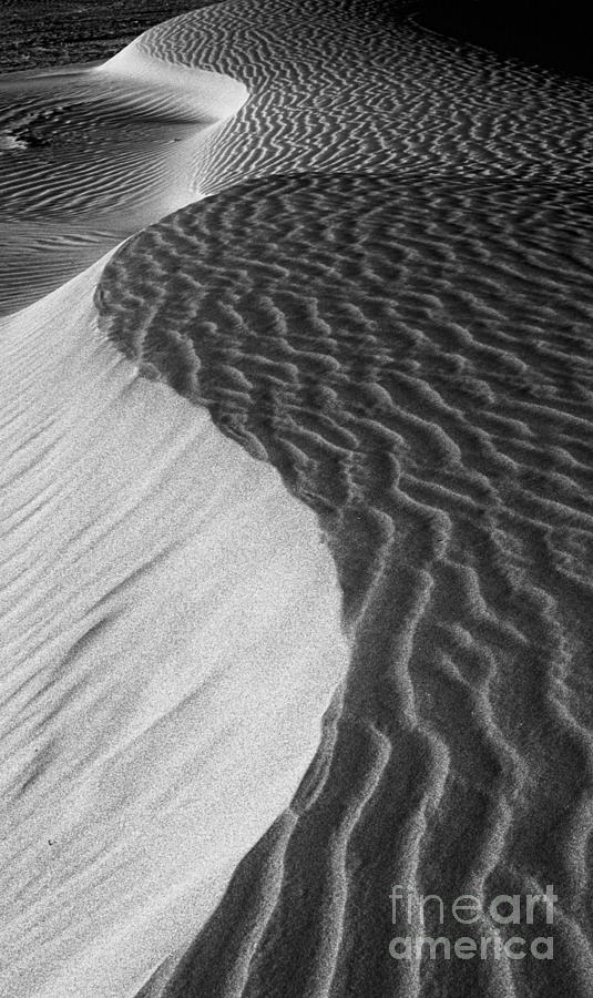 Death Valley Sand Dunes Photograph by Jim And Emily Bush