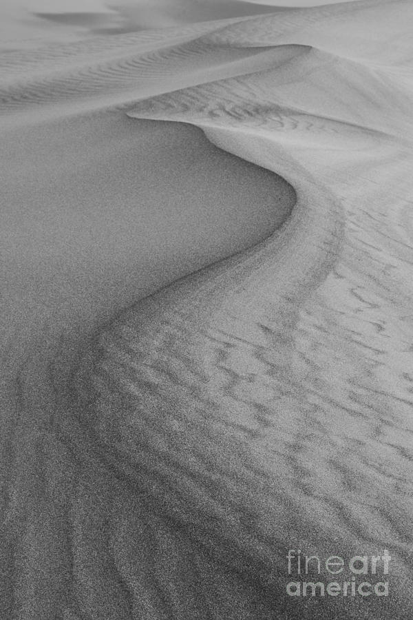 Death Valley National Park Photograph - Death Valley Sand Dunes by Juli Scalzi