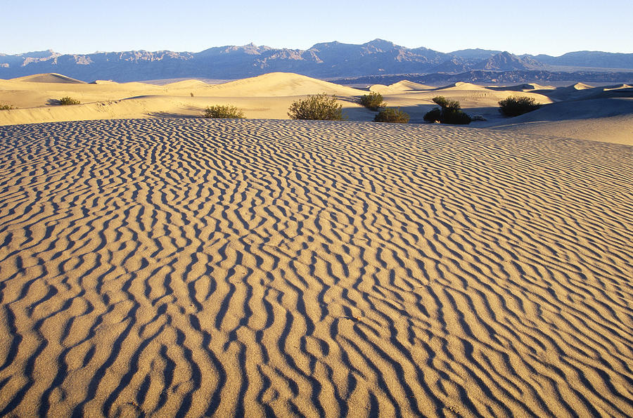 Death Valley Sand Patterns Photograph by Brenda Tharp