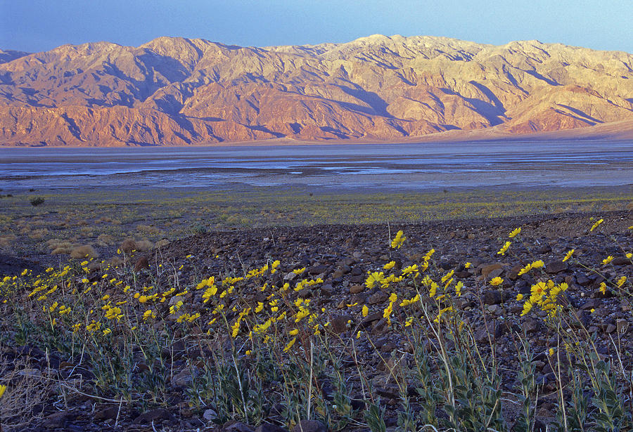 Death Valley Sunrise Photograph by Doug Davidson