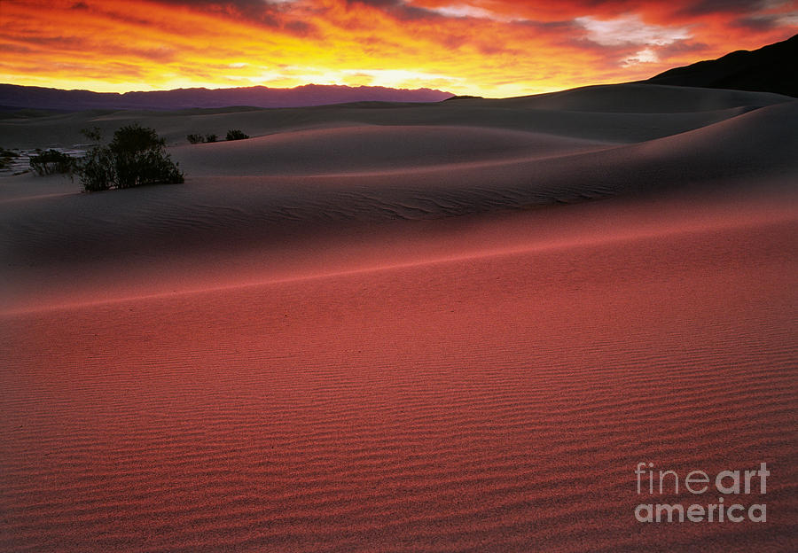 Death Valley Sunrise Photograph by Inge Johnsson