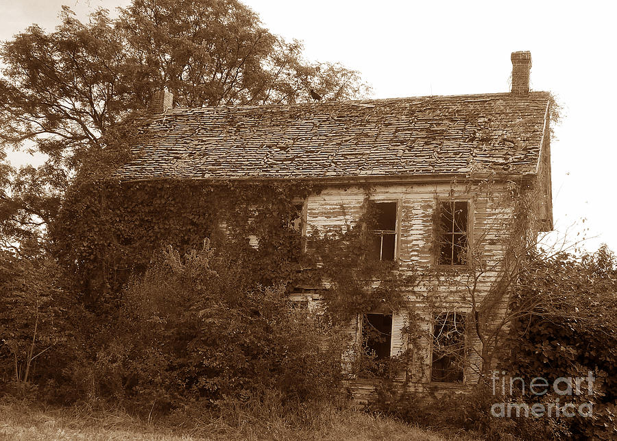 Scenic Tours Photograph - Decay In Sepia by Skip Willits
