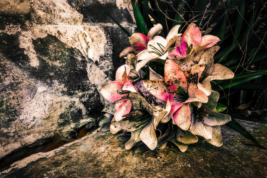 Decayed Pink Photograph by Melinda Ledsome