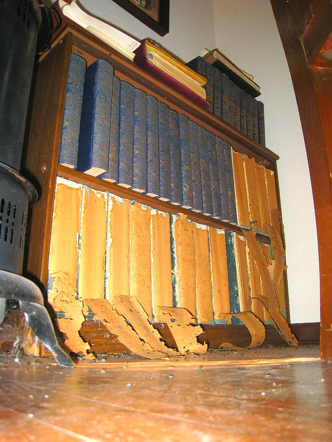 Decaying Books Photograph by John King I I I