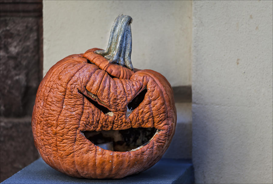 Decaying Halloween Pumpkin Photograph by Robert Ullmann