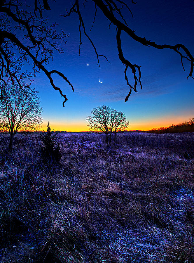 Landscape Photograph - December Blues by Phil Koch