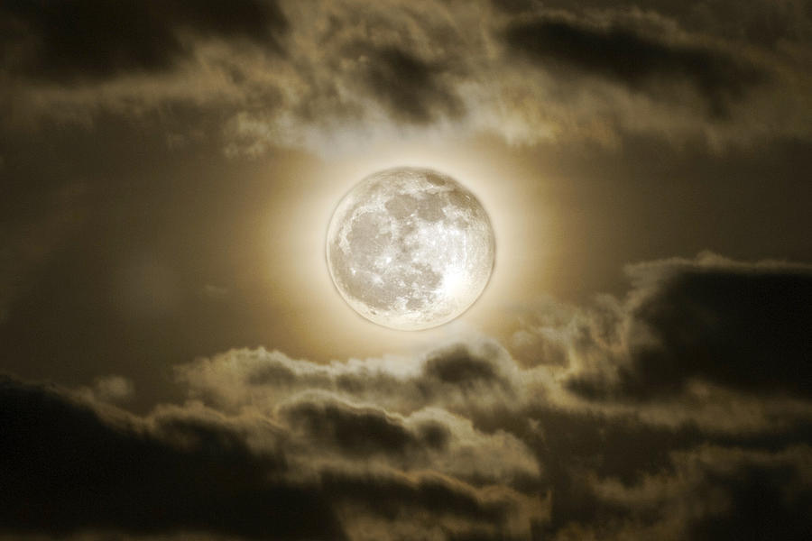 December Cold Moon Photograph by Constantine Gregory