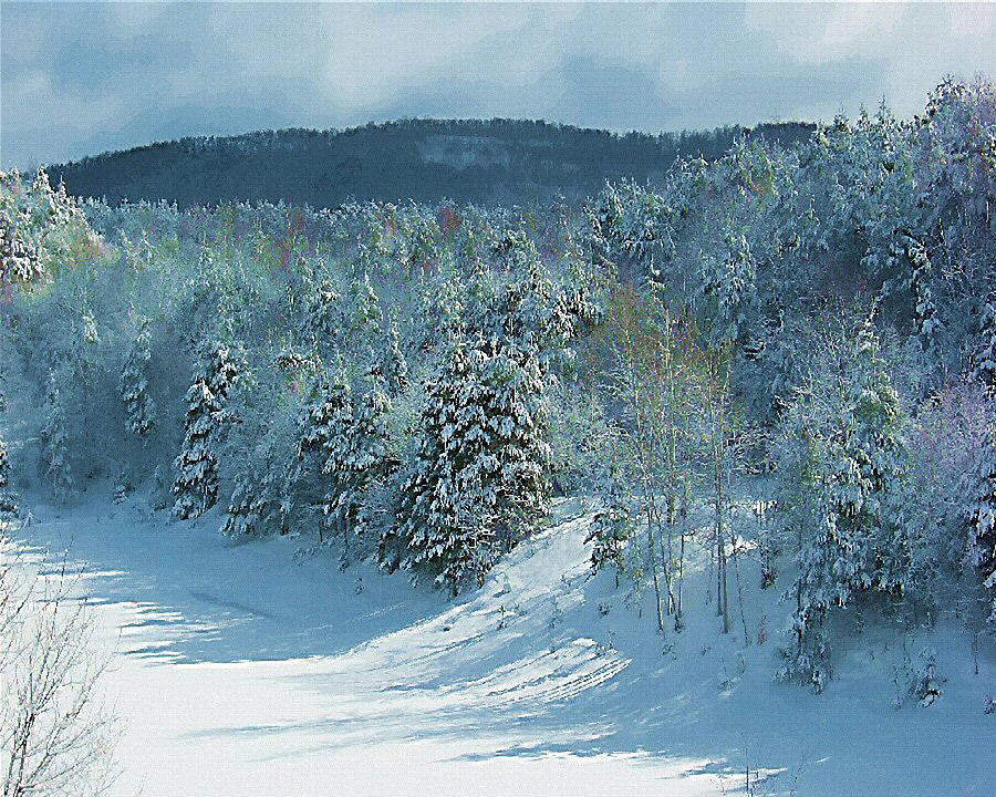 Snow Digital Art - December Dream by Lorraine Keil