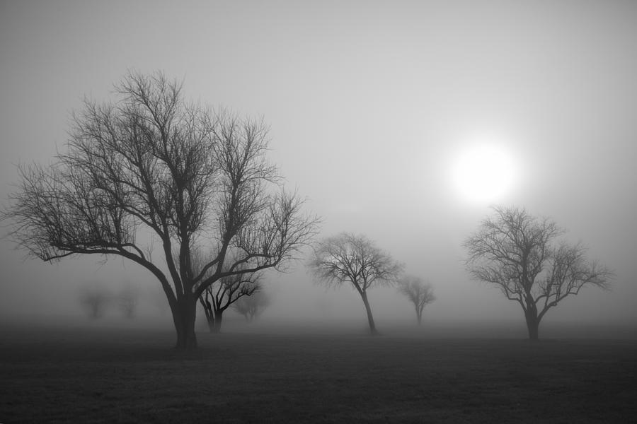 Black And White Photograph - December Fog by John Hall