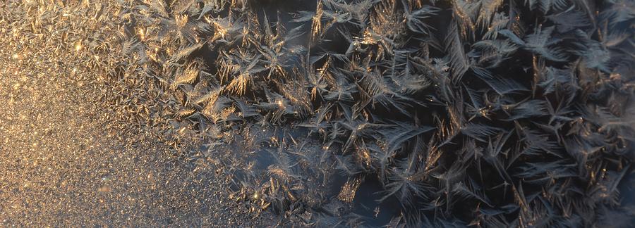December Frost Photograph by Ellery Russell