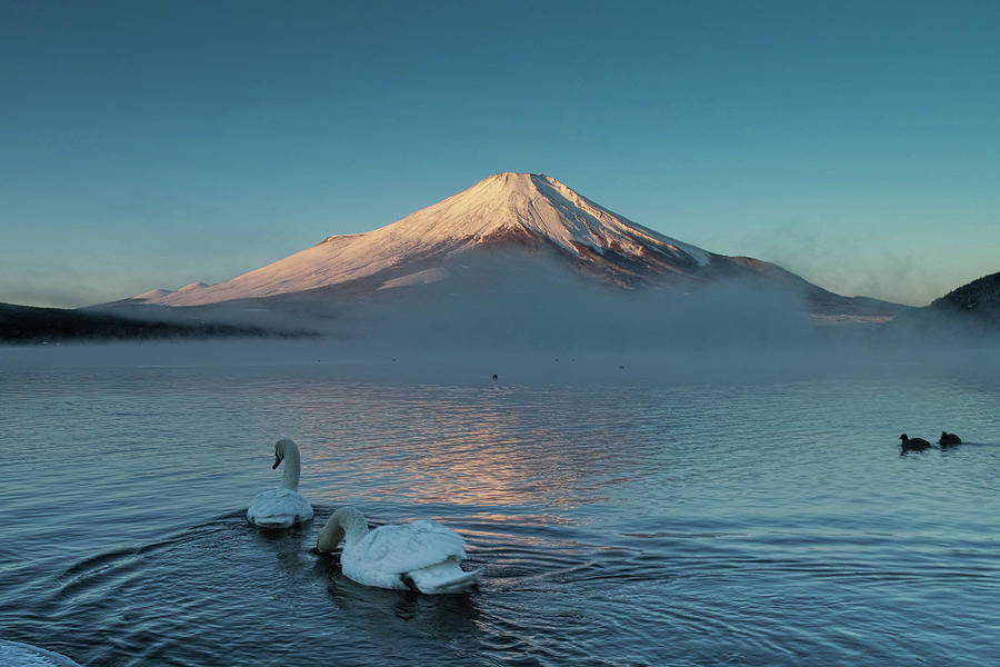 December Fuji Photograph by I Love Photo And Apple.