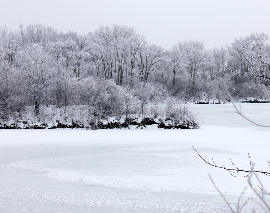 December Lake Photograph by Debbie Hart