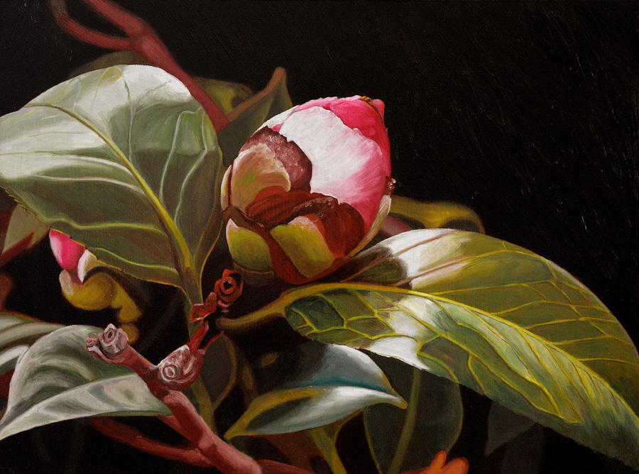 December Rose Painting by Thu Nguyen