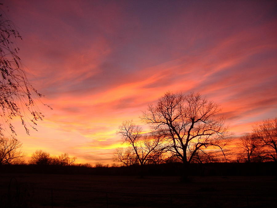 December Sky at Sunset  Photograph by Virginia White