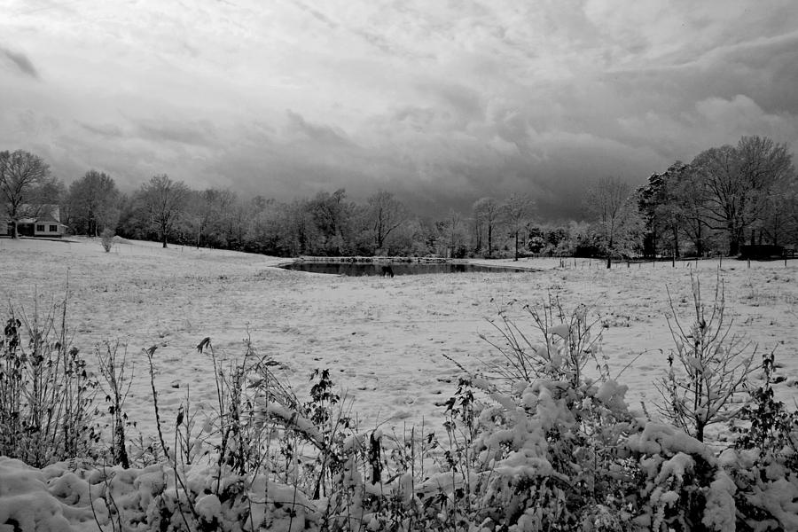 December Snow 005 B-W Photograph by Andy Lawless