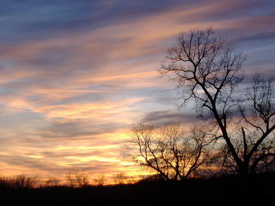 December Sunset Photograph by Virginia White