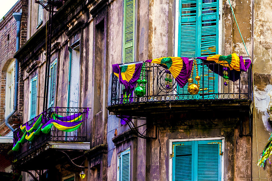 Decked Out for Mardi Gras Photograph by by Jonathan D. Goforth