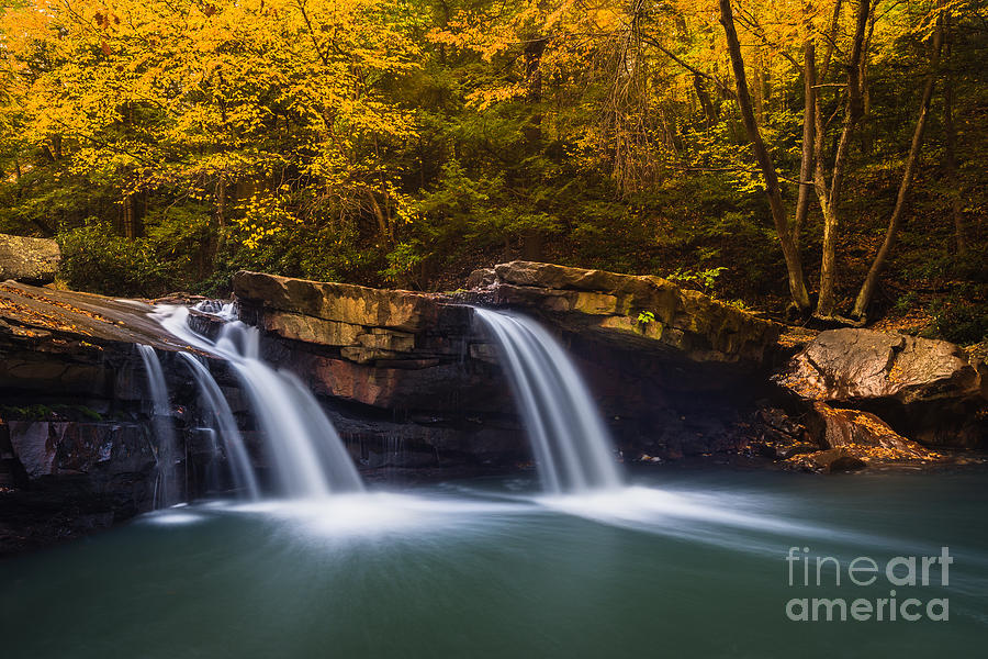 Waterfall Photograph - Deckers Creek D80001516 by Kevin Funk