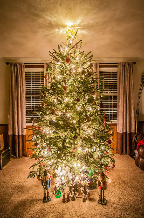 Christmas Photograph - Decorated Christmas Tree by Alex Grichenko