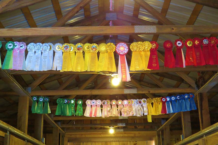 Decorated Horse Barn Photograph by Jeanette Oberholtzer