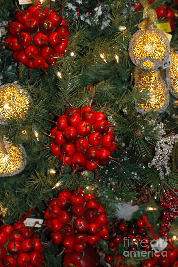 Decorated Tree Photograph