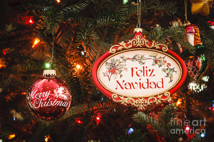 Decorated tree with Feliz Navidad and Merry Christmas ornaments Photograph by Oscar Gutierrez