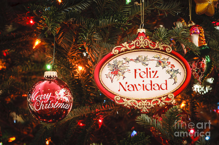 Decorated tree with Feliz Navidad and Merry Christmas ornaments