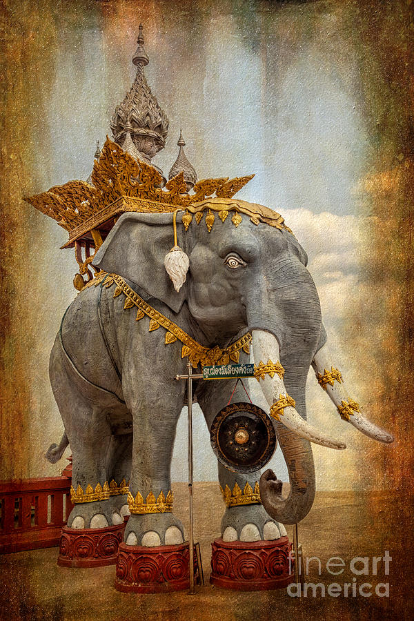 Decorative Elephant Photograph by Adrian Evans
