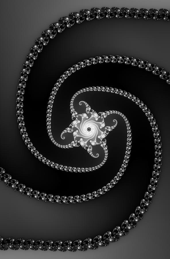 Black And White Digital Art - Decorative fractal art black and white by Matthias Hauser