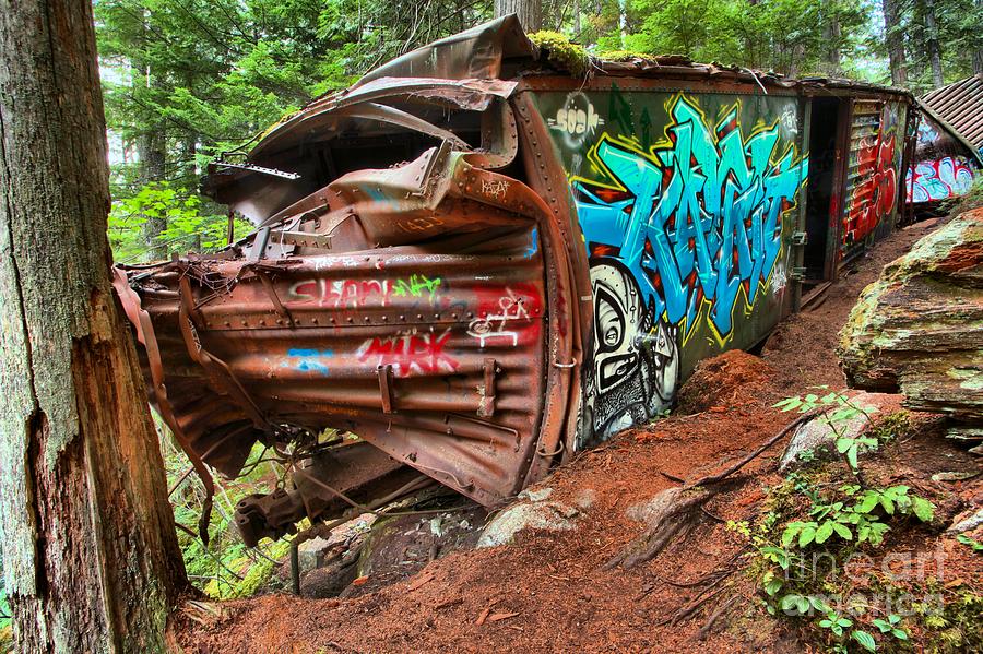 Decorative Trainwreck Site Photograph by Adam Jewell