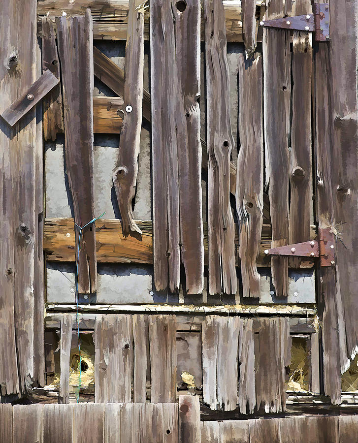 Decrepit Barn Door Photograph by David Letts