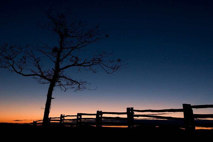 Deep Blue Dawn on the Blue Ridge Parkway Photograph by Dan Carmichael