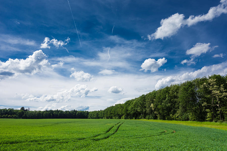 Deep blue fresh green and white clouds - lovely summer landscape Photograph by Matthias Hauser