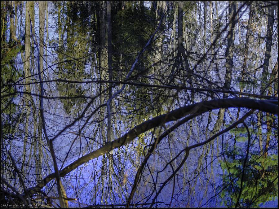 Landscape Photograph - Deep blue winter reflectons by LeeAnn McLaneGoetz McLaneGoetzStudioLLCcom