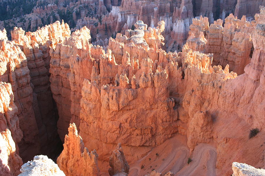 Bryce Canyon National Park Photograph - Deep Canyon - Bryce NP by Christiane Schulze Art And Photography