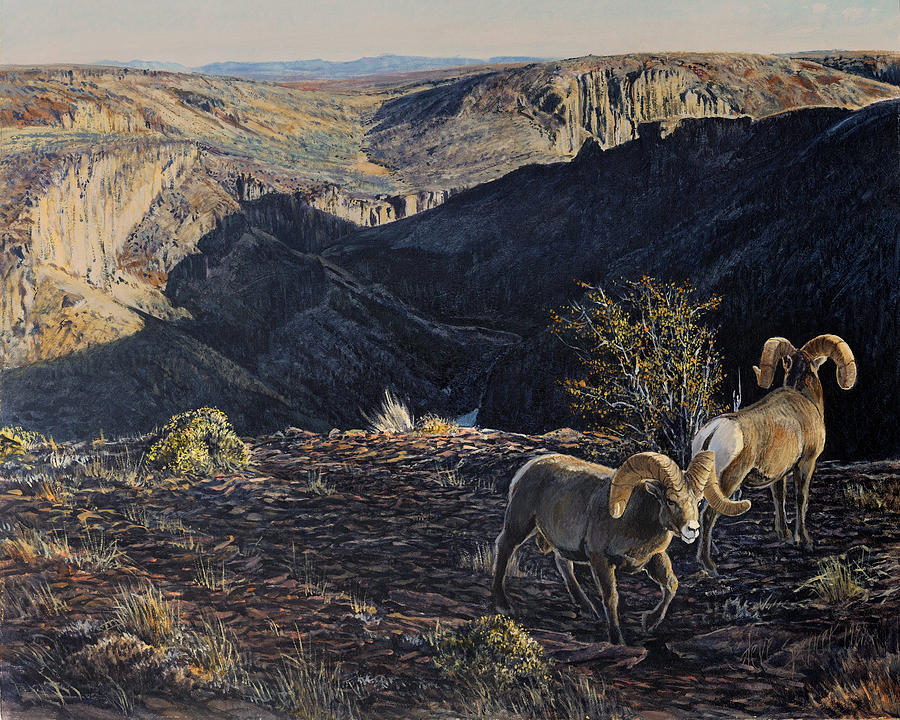 Wildlife Painting - Deep Creek Sunrise by Steve Spencer